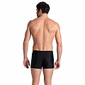 Herren Badeanzug Arena DIVE BOXER